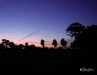 Couleurs de nuit