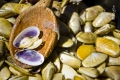 poele-a-peche-publication_web