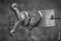 cle-publication_web cle-publication_web