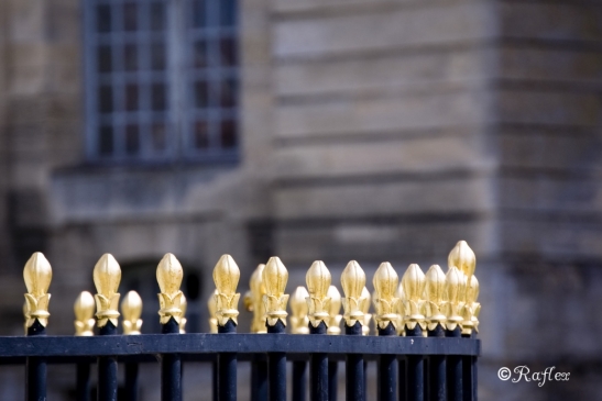 Fleches d'or