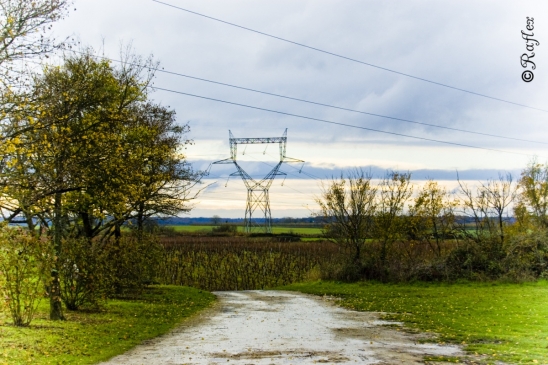 lumiere-electrique-publication_web
