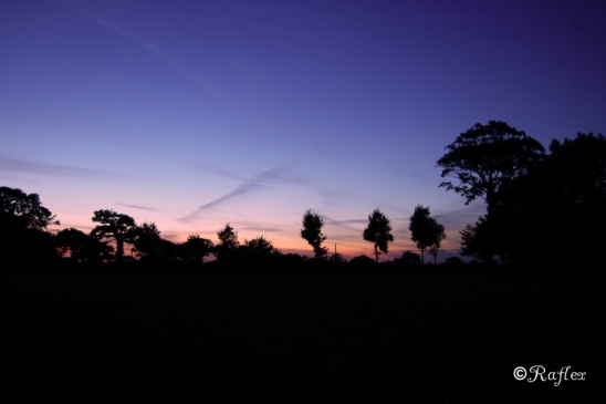 Couleurs de nuit